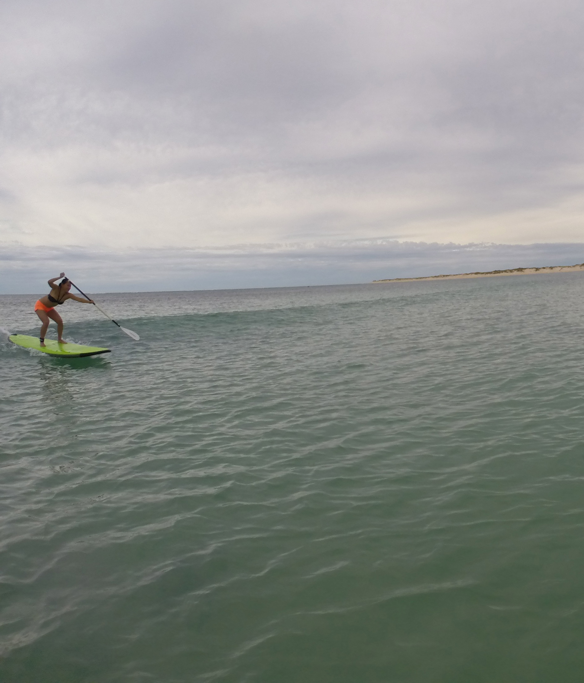 SURF SUP EXMOUTH