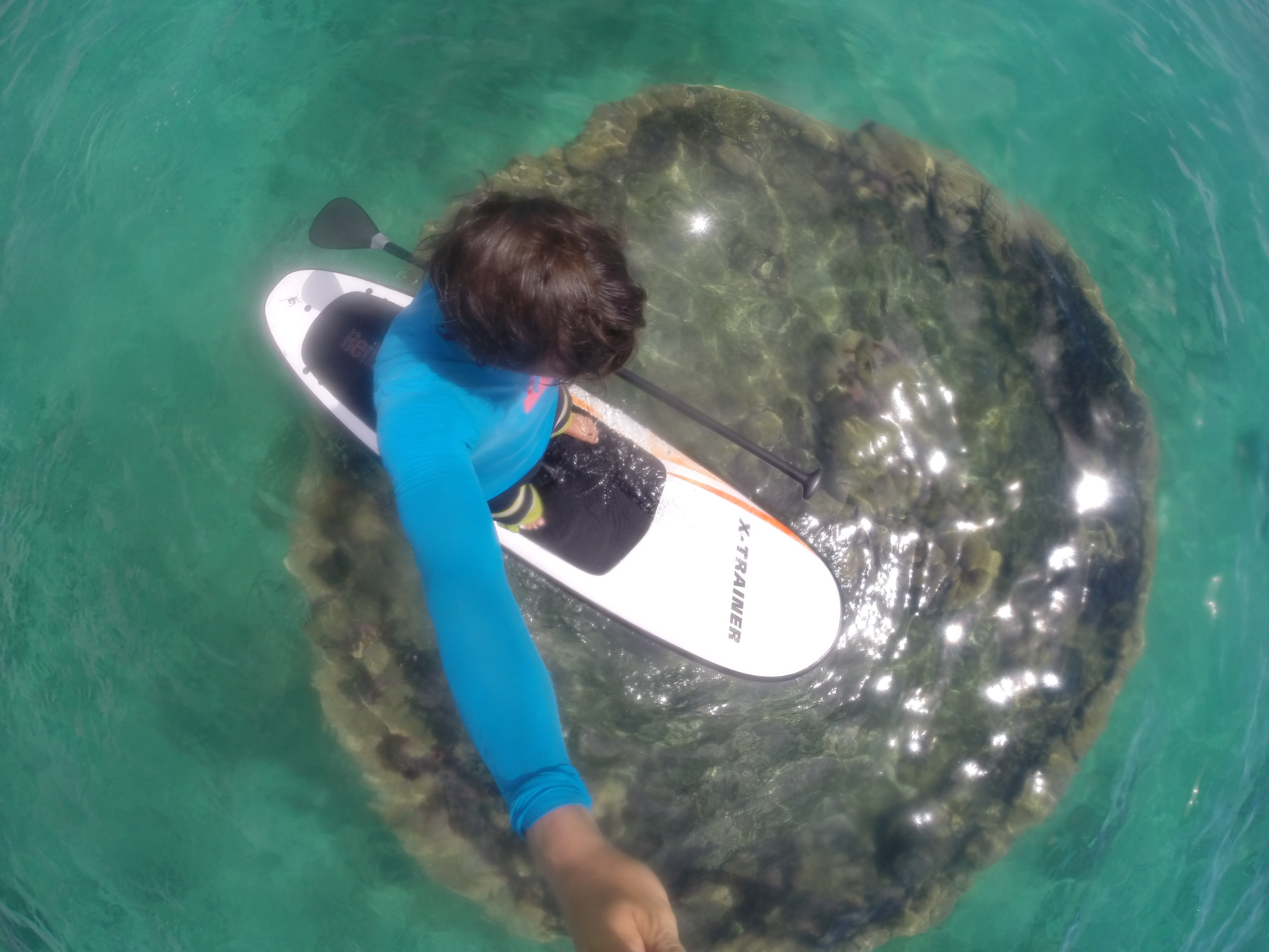 Stand Up Paddle Exmouth