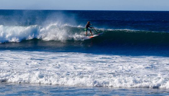 Learn to SUP Surf