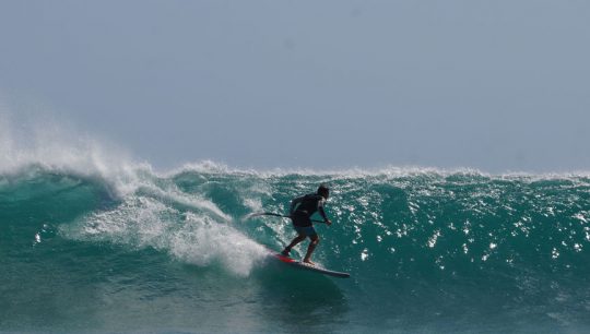 Learn to SUP Surf Exmouth