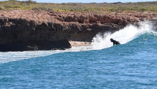 Learn to Surf 1.5 hours beginner