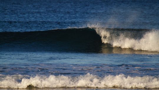 Learn to Surf 1.5 hours Holiday