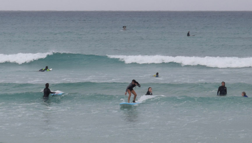 Learn to Surf 1.5 hours Stand up