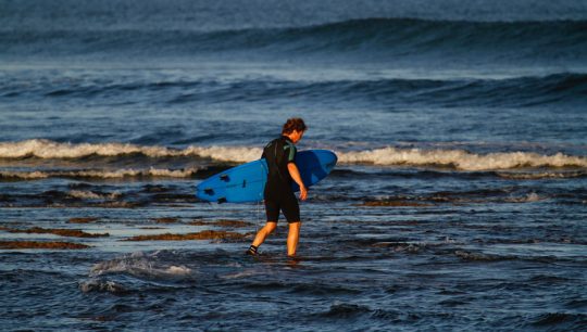 Learn to Surf 1.5 hours Tours