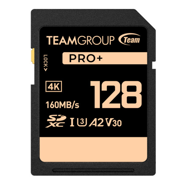 Pro + Micro SDXC 128GB Memory Card - Team