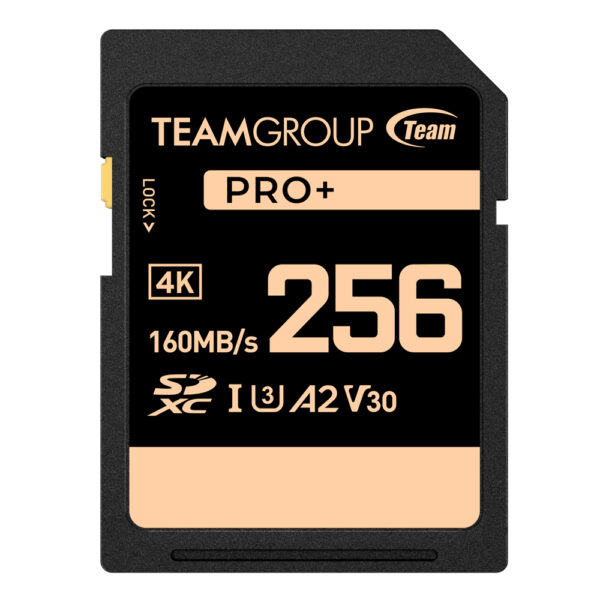 Pro + Micro SDXC 256GB Memory Card - Team